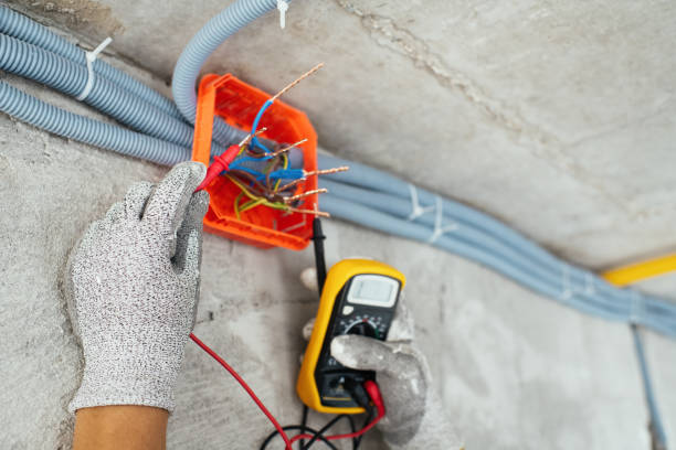 Best Electrical Repair Services  in Walcott, IA