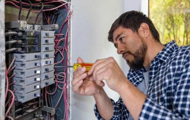 Best Electrical Rewiring Services  in Walcott, IA